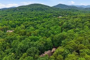 57 Wood Poppy View, Big Canoe, GA 30143 - Photo 73