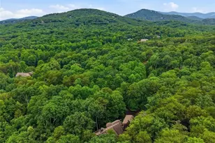 57 Wood Poppy View, Big Canoe, GA 30143 - Photo 73