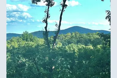 57 Wood Poppy View, Big Canoe, GA 30143 - Photo 29