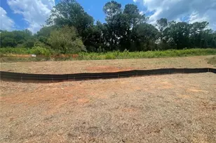 8835 McKaskey Ln, Ball Ground, GA 30107 - Photo 3