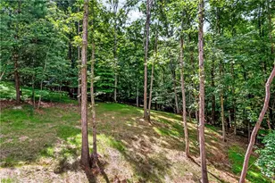 209 Pinecrest Ct, Ellijay, GA 30540 - Photo 7