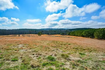 119 Inland 15 Acres Drive, Talking Rock, GA 30175 - Photo 3