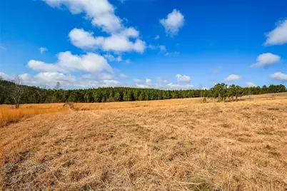 119 Inland 15 Acres Drive, Talking Rock, GA 30175 - Photo 5