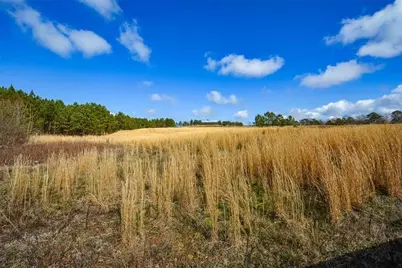 119 Inland 15 Acres Drive, Talking Rock, GA 30175 - Photo 7