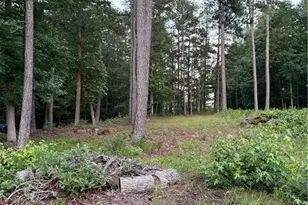 2829 Bomar Rd, Douglasville, GA 30135 - Photo 23