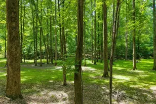 512 Mill Pond Rd, Newborn, GA 30056 - Photo 45