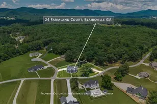 24 Farmland Ct, Blairsville, GA 30512 - Photo 5