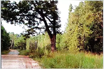 0 Felton McMichael Rd  - Landlot 090-091 Road, Monticello, GA 31064 - Photo 3