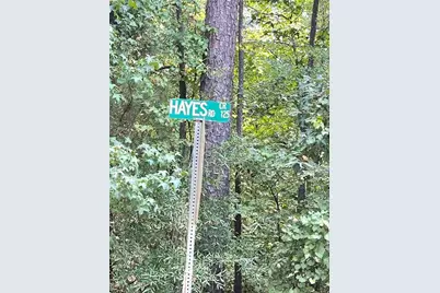 0 Felton McMichael Rd  - Landlot 090-091 Road, Monticello, GA 31064 - Photo 7