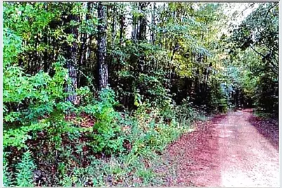 0 Felton McMichael Rd  - Landlot 090-091 Road, Monticello, GA 31064 - Photo 5