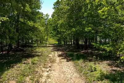 229 Sharp Trail, Hoschton, GA 30548 - Photo 61