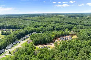 1178 Pinnacle Dr, Hoschton, GA 30548 - Photo 77