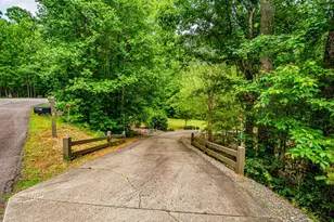 190 Still Rd, Clarkesville, GA 30523 - Photo 87