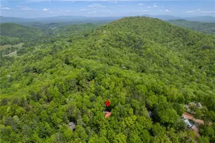 305 Martin Crossing, Cherry Log, GA 30522 - Photo 37