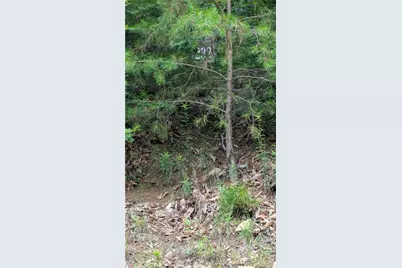 232 Stone Cliff Drive, Ellijay, GA 30536 - Photo 7
