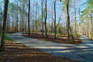 10510 Rico Tatum Rd, Palmetto, GA 30268 - Photo 41