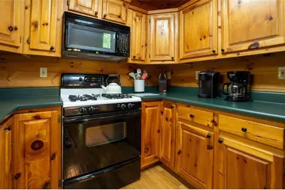 305 Martin Crossing, Cherry Log, GA 30522 - Photo 7