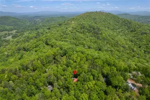305 Martin Crossing, Cherry Log, GA 30522 - Photo 37