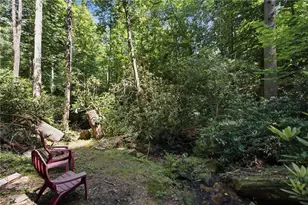349 Whitewater Trail, Dahlonega, GA 30533 - Photo 33