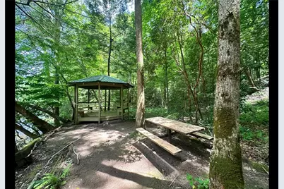 349 Whitewater Trail, Dahlonega, GA 30533 - Photo 93