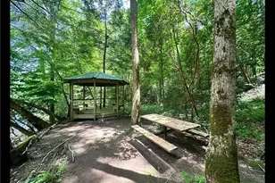 349 Whitewater Trail, Dahlonega, GA 30533 - Photo 93
