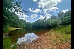 349 Whitewater Trail, Dahlonega, GA 30533 - Photo 87