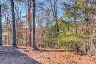 6444 Point Twenty Two, Gainesville, GA 30506 - Photo 37