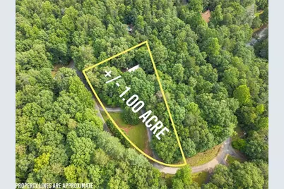 318 Horseshoe Lane, Dahlonega, GA 30533 - Photo 3