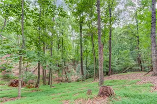 2525 Thompson Mill Rd, Gainesville, GA 30506 - Photo 51