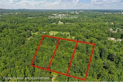 113 Hickory Trail, Cumming, GA 30040 - Photo 3
