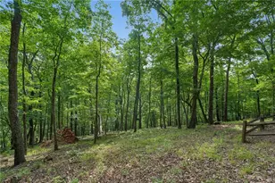 1482 Valley View Dr, Big Canoe, GA 30143 - Photo 63
