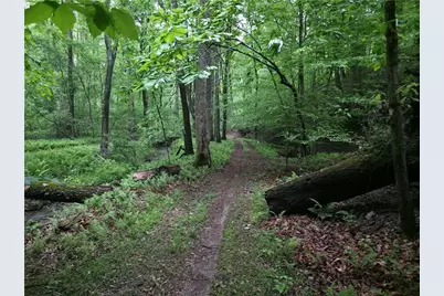 341 Blackberry Trail, Ball Ground, GA 30107 - Photo 57