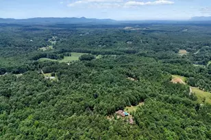 331 Blackberry Trail, Ball Ground, GA 30107 - Photo 53