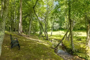 28 Wood Ln, Blue Ridge, GA 30513 - Photo 53