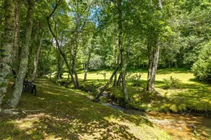 28 Wood Ln, Blue Ridge, GA 30513 - Photo 59