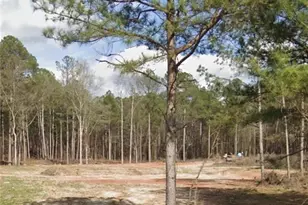 5020 Guthrie Cemetery Rd, Loganville, GA 30052 - Photo 1