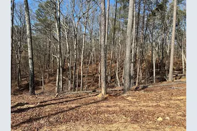183 Moody Meadows Trail, Canton, GA 30114 - Photo 11