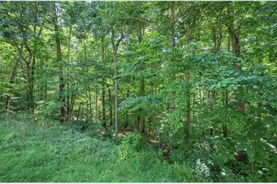 302 Waterfall Court, Canton, GA 30115 - Photo 69