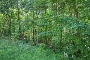 302 Waterfall Ct, Canton, GA 30115 - Photo 69
