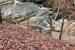 302 Waterfall Ct, Canton, GA 30115 - Photo 81