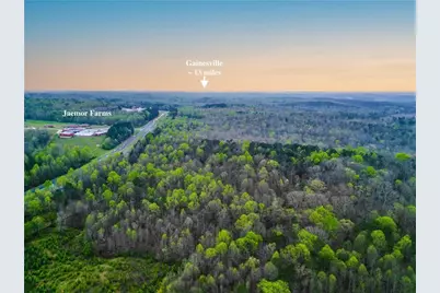 5457 Cornelia Highway, Alto, GA 30510 - Photo 3