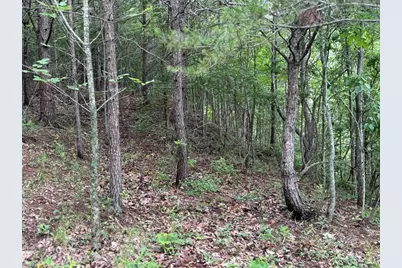 575 Galaxy Way NE, Ranger, GA 30734 - Photo 9