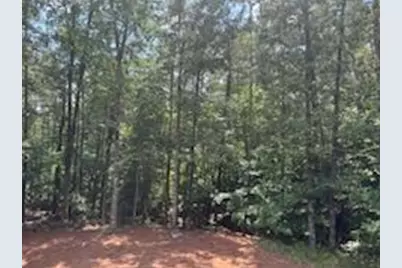 202 Hannahs Drive, Dahlonega, GA 30533 - Photo 13