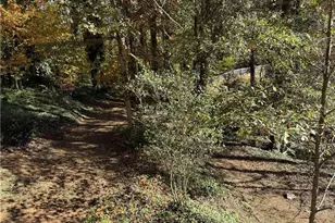 1610 Old Mill Crossing, Marietta, GA 30062 - Photo 3