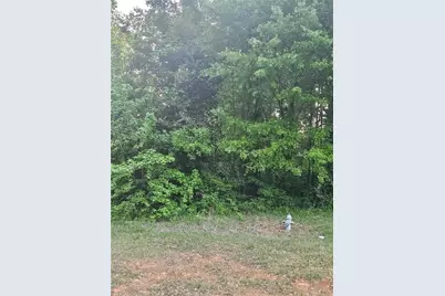 974 W Hemphill Road, Stockbridge, GA 30281 - Photo 3