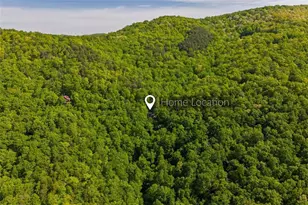 1049 Rockwater Road, Ellijay, GA 30536 - Photo 47