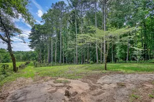 2217 Meadows Rd, Newborn, GA 30056 - Photo 35