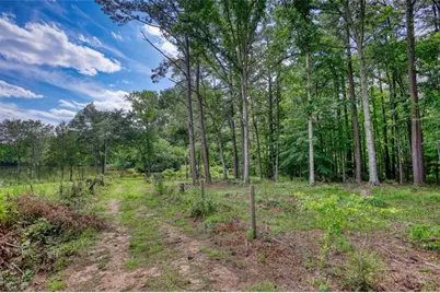 2217 Meadows Road, Newborn, GA 30056 - Photo 37
