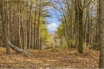 0 Eagle Ridge Trail Lot #4 & Lot #5, Cleveland, GA 30528 - Photo 27
