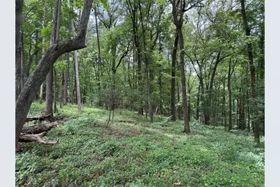 17 Norton Trail, Dahlonega, GA 30533 - Photo 3